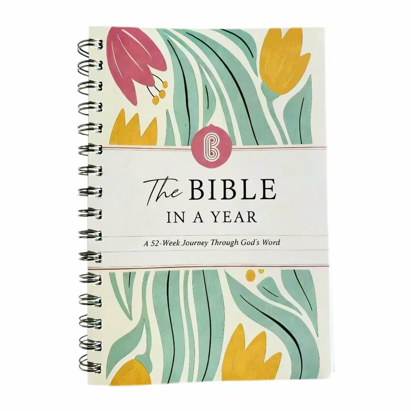 The Bible in a Year 52-Week Study