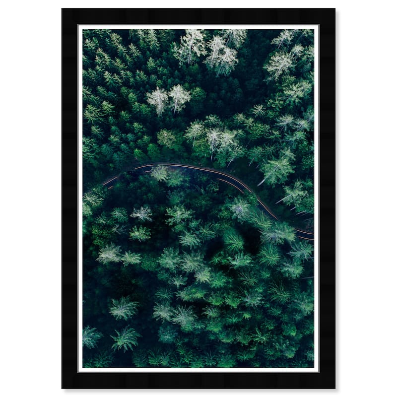 Wynwood Studio Prints Nature and Landscape Breathe in The Forest Green and Scandinavian Wall Art Canvas Print