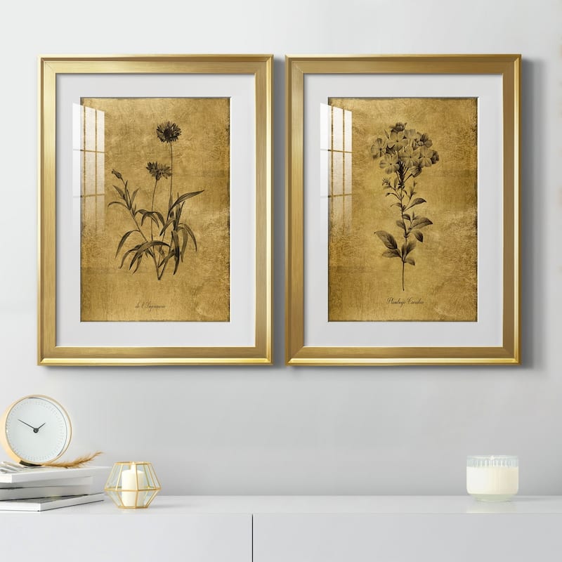 Gold Sketch Botanical I Premium Framed Print - Ready to Hang