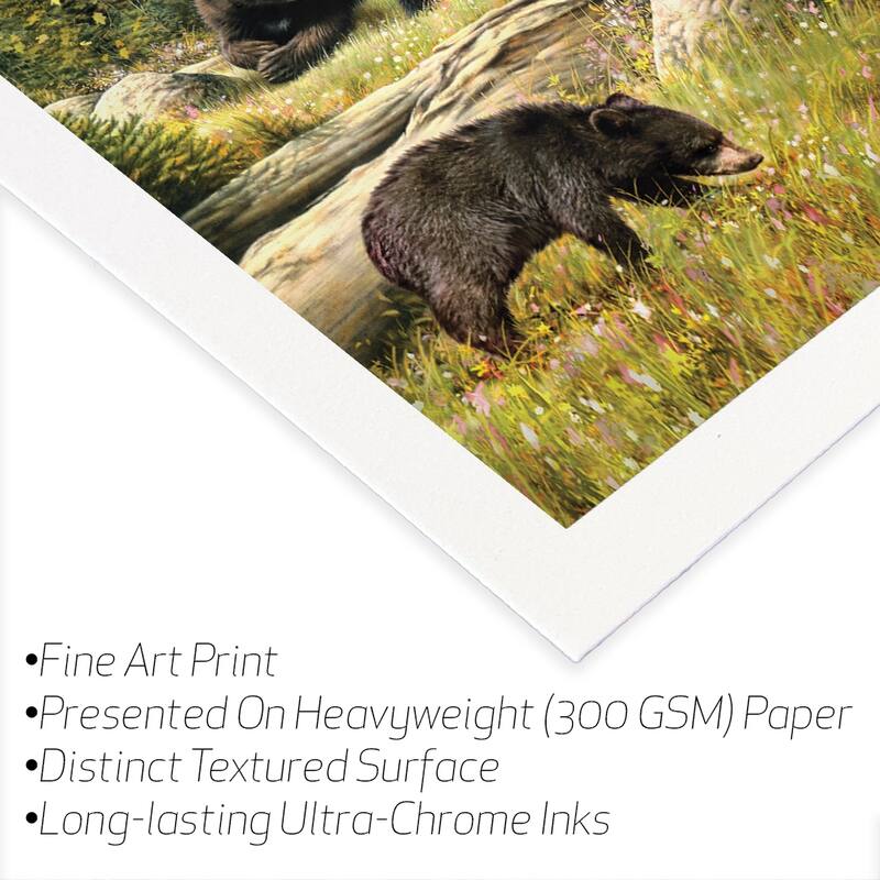 Black Bear Family Fine Art Paper Print by Greg Giordano - Multi - 32x24