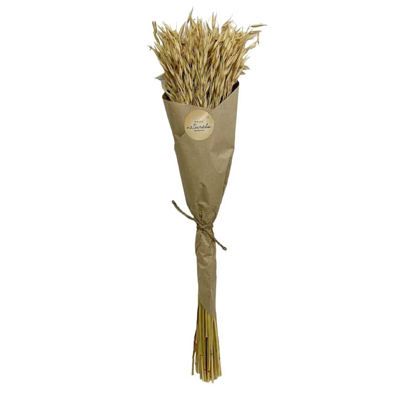 Avana Grass Artificial Plant in Paper Wrap - 23.5"