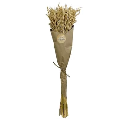 Avana Grass Artificial Plant in Paper Wrap - 23.5"
