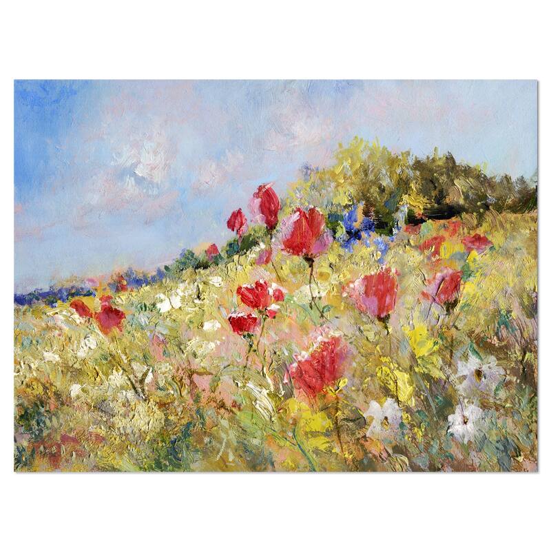 Designart 'Painted Poppies on Summer Meadow' Landscape Wall Metal Wall Art - 40 in. wide x 30 in. high