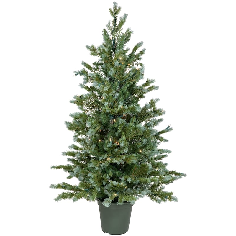 Real Touch ™ Blue Spruce Artificial Potted Christmas Tree - 4' - Clear Lights - 4 Foot