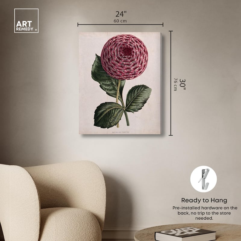 A dahlia Canvas by Art Remedy, Gallery Wrapped