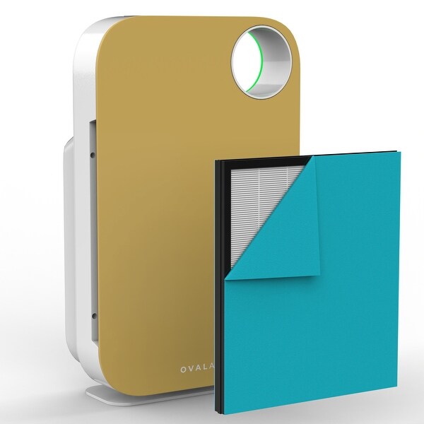 OVAL AIR AIR1000A 3-Stage H13 True HEPA 5-in-1 Air Purifier For Allergens,Dust,Pets,Allergies,Odor,Smoke,Pollen, Rooms up to 600 sq. ft., W 並行輸入品 : OVAL AIR AIR1000B 3-Stage H13 True HEPA 5-in-1 Air