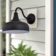 11.75" Black Gooseneck 12W LED Outdoor Barn Light