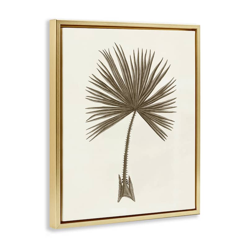 Stupell Vintage Study of Palm Leaf Framed Floater Canvas Wall Art Design By Phillipa Katz