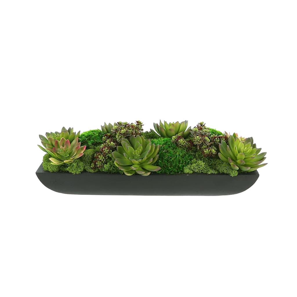 Assorted Moss and Succulents in an Oblong Fiberstone Planter - Green