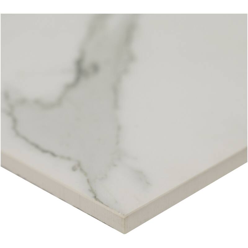Ackland AKNPTPAL12X24P-CA Palazza - 12" x 24" Porcelain Solid Floor