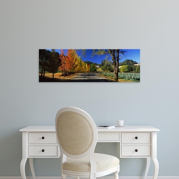 Easy Art Prints Panoramic Image 'Liquidambar trees in autumn, Healdsburg, Sonoma County, California, USA' Canvas Art
