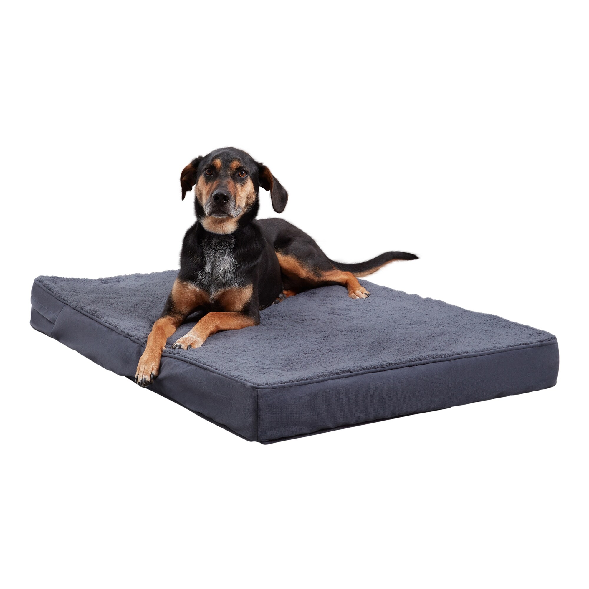 Happy Hounds Oscar Orthopedic Sherpa Dog Bed On Sale Bed Bath
