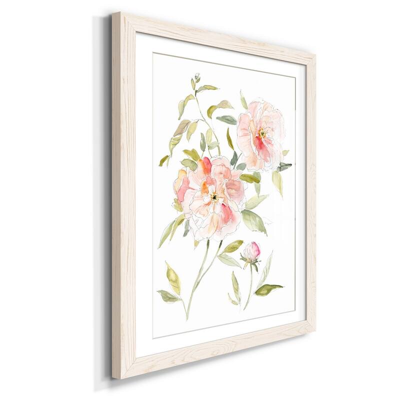 Sketchbook Cottage Rose II-Premium Framed Print - Ready to Hang