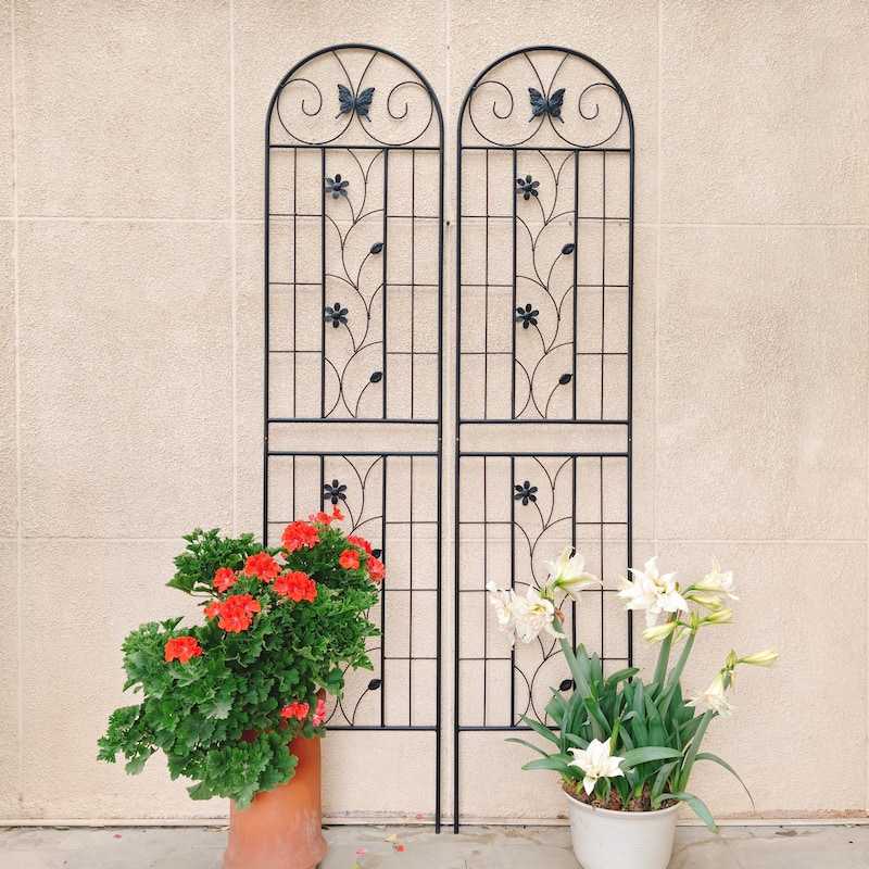 Black Metal Trellis for Garden Climbing Plants Supports for Roses Clematis or Vines - 19.7”W x 86.7”H