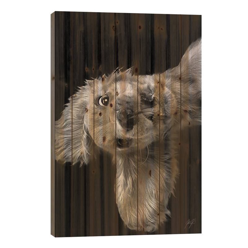 Freaky Friday Print On Wood by Kathrin Federer - Multi-Color - 26x18x1.5