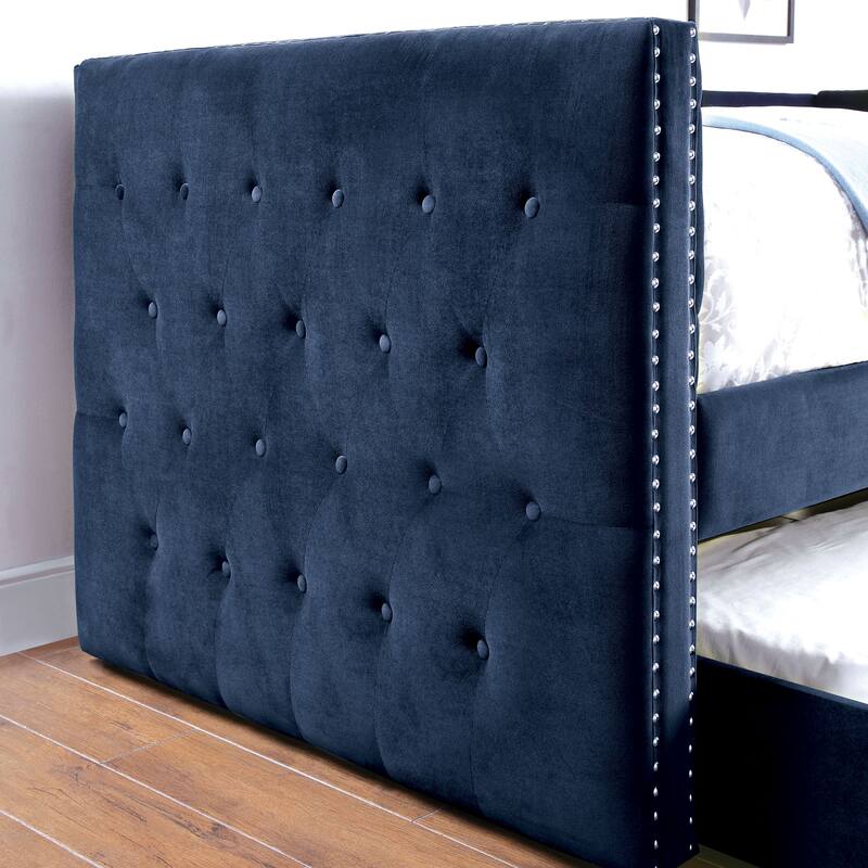 Furniture of America Ragen Twin-size Tufted Upholstered Daybed with Trundle and Nailhead Trim