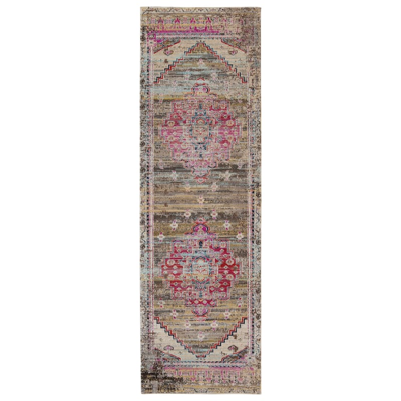 Cicero Indoor and Outdoor Medallion Area Rug