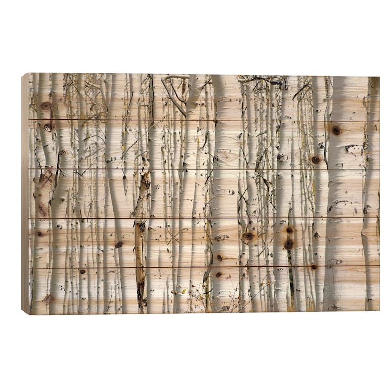 Birch Wood Print On Wood by PhotoINC Studio - Multi-Color - 18x26x1.5