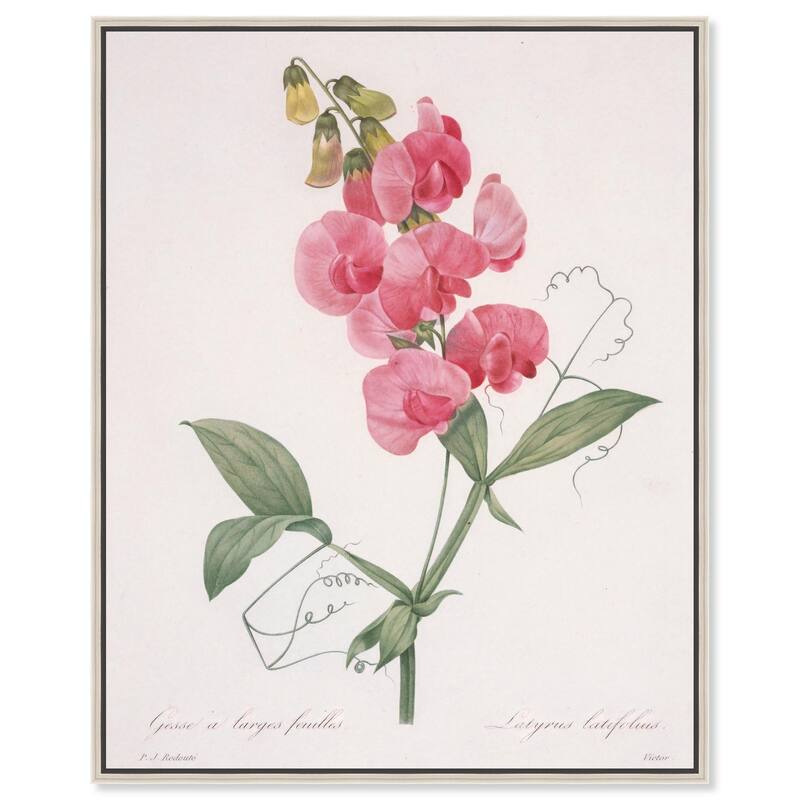Latifolus Canvas by Art Remedy - Silver - 16" x 20"