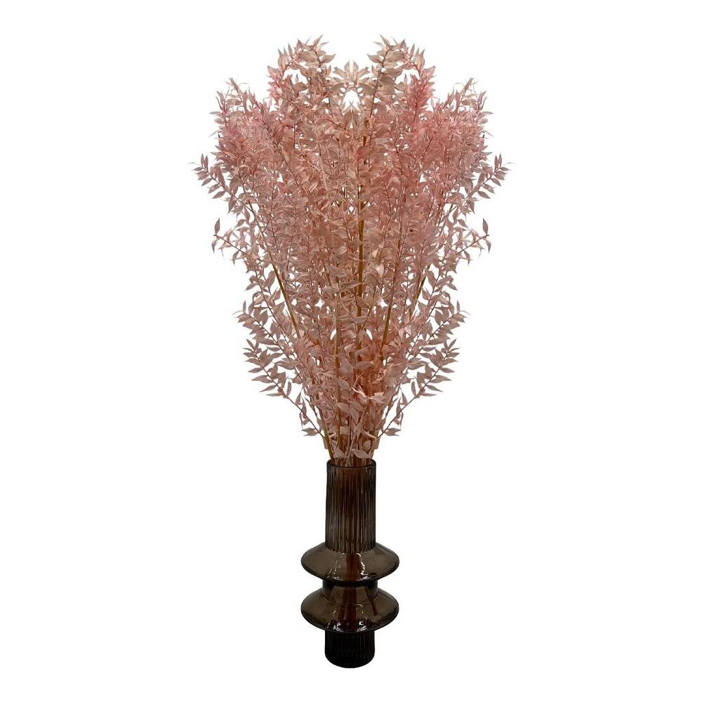 Bundle of 4 Preserved Ruscus,22-24" long - 22-24 inch