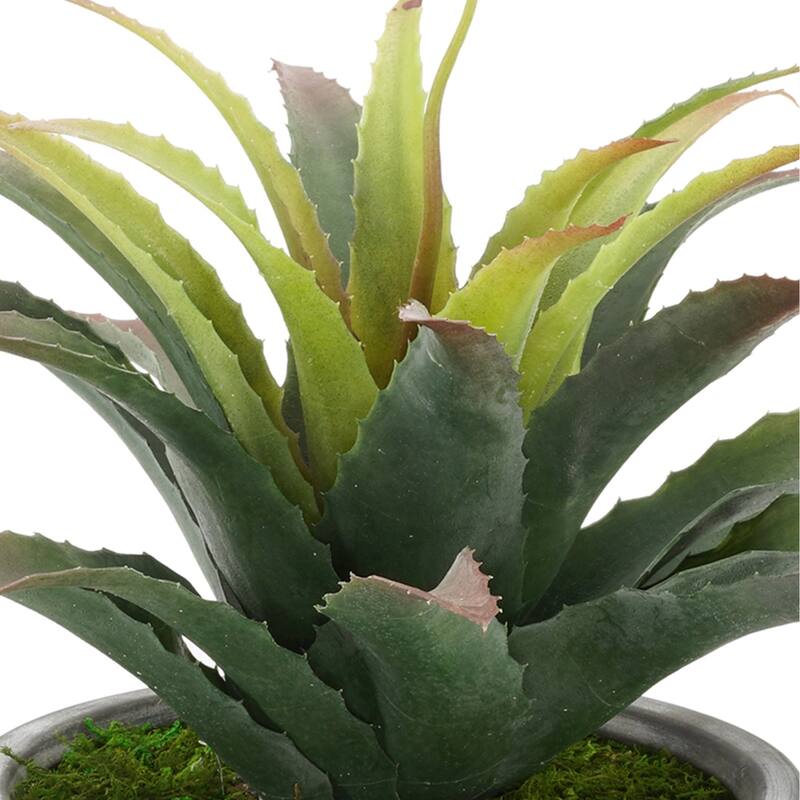 Faux Star Succulent in Grey-Washed Ceramic Vase