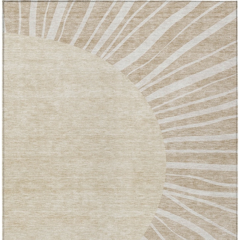 HomeRoots Abstract Transitional Rectangle Outdoor Rug