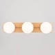 preview thumbnail 12 of 11, Parkview 3-Light 24 in. W Bathroom Vanity Lighting Fixture Frosted Opal Glass Globe Shade Dimmable LED Compatible Full Backplate