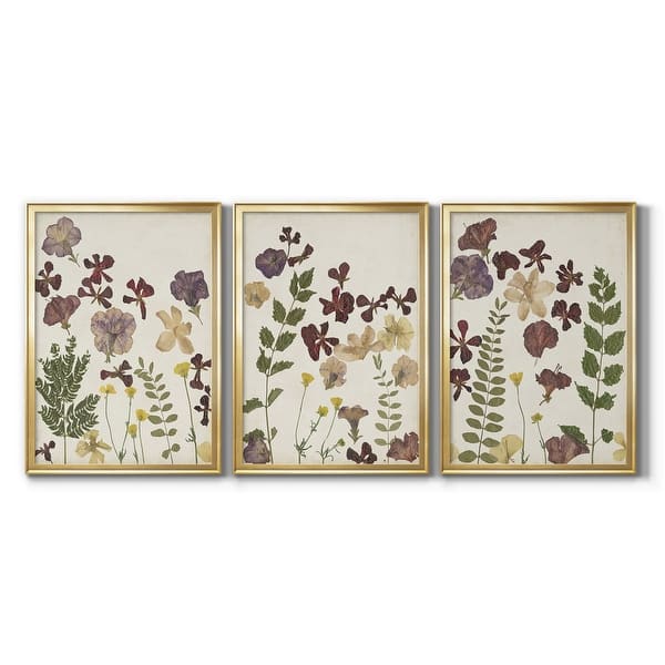 Pressed Flower Arrangement IV Premium Framed Canvas - Ready to Hang ...