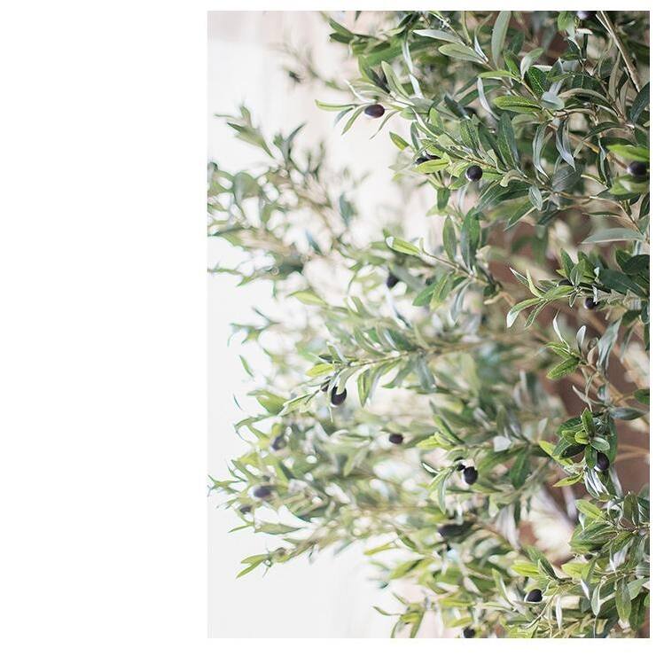 RusticReach Extra Large Tall Olive Tree 118" Tall - 118" Tall