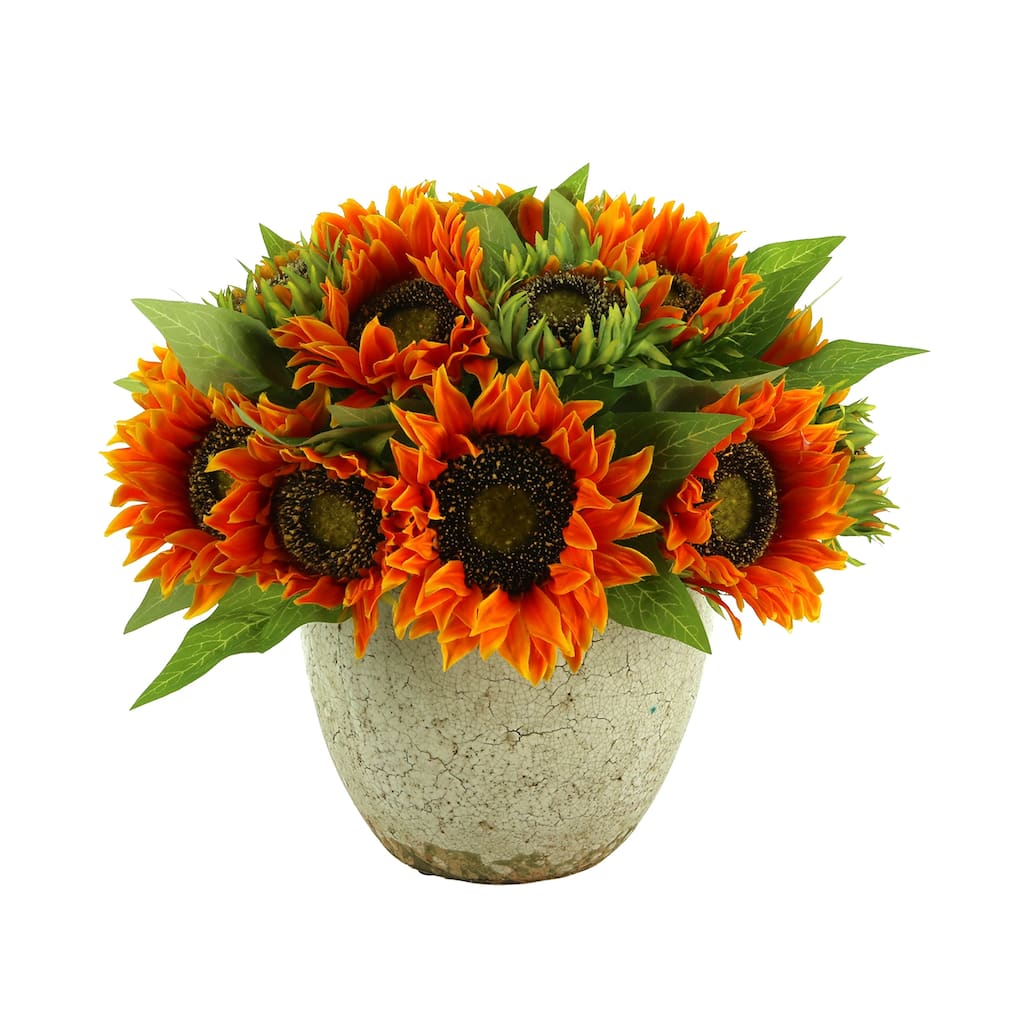 Sunflower Floral Arrangement in a Ceramic Pot - Orange, Cream