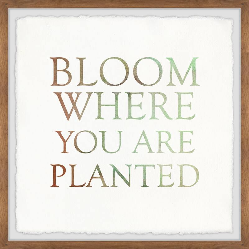 Bloom Where You Are Planted II Framed Wall Art, Floral Delight - A Blooming Accent for Your Living Space
