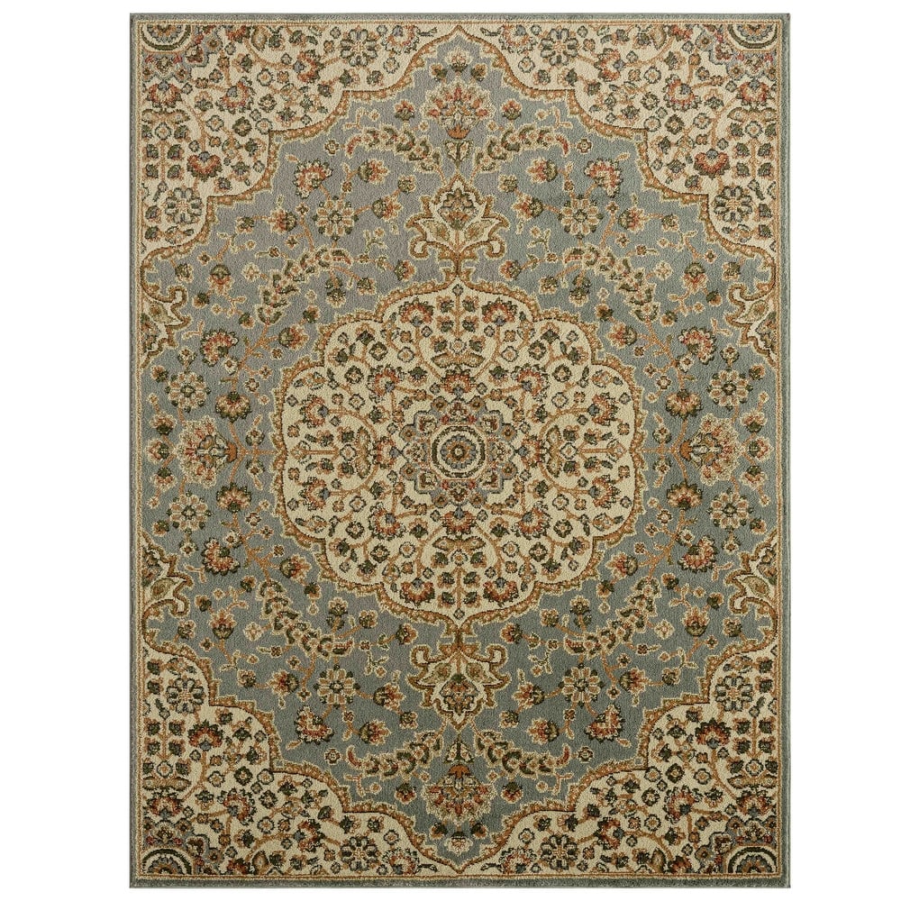 Home Dynamix Royalty Medallion Traditional Area Rug