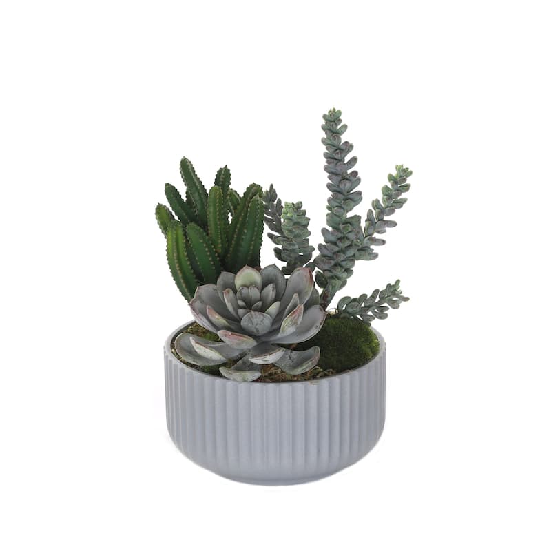 Succulents Arrangement with Moss in Gray Pot - Green