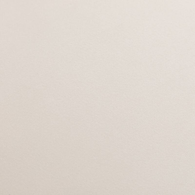 Modern Contempoary Velvet Dining Chair Set of 2 with Metal Frame Legs and Back Pull