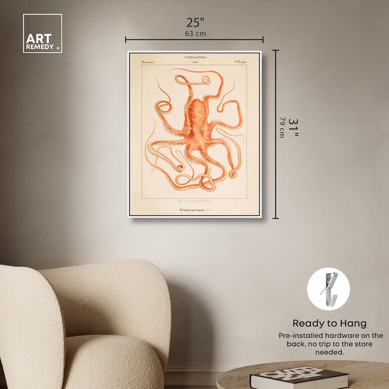 Verany The Octopus 1815 I Canvas by Art Remedy