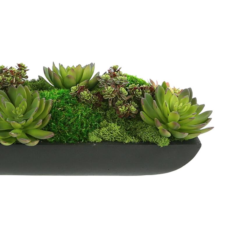 Assorted Moss and Succulents in an Oblong Fiberstone Planter - Green