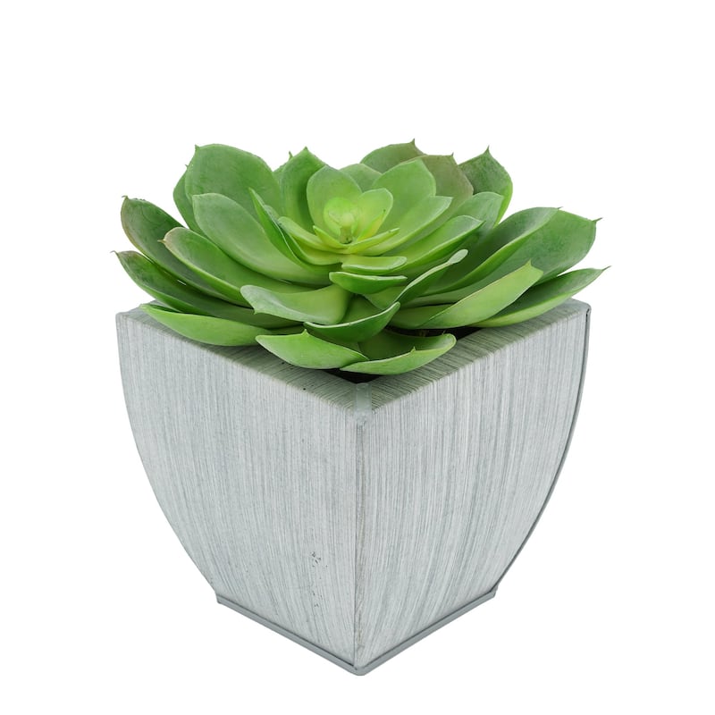 Faux Green Echeveria Succulent in Tapered Zinc Planter - Farmhouse
