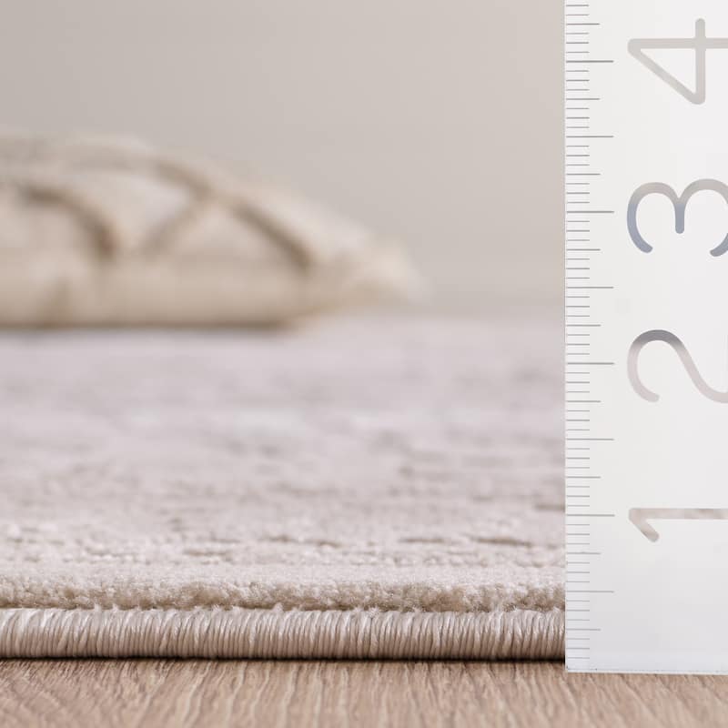 SAFAVIEH Reflection Mirande Area Rug