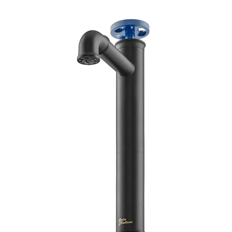 Avallon 12 Single Handle, Bathroom Faucet in Matte Black