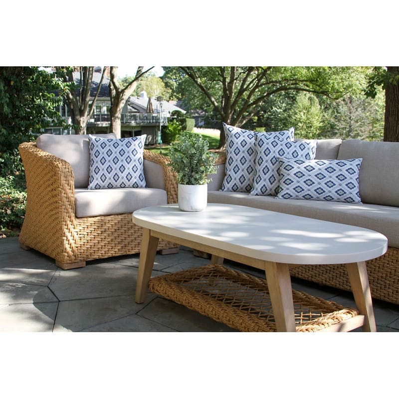 20" x 20" Indoor/Outdoor Throw Pillow, Set of 2