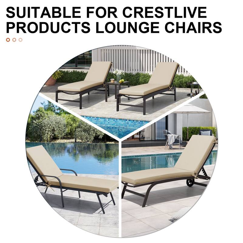 Outdoor Chaise Lounge Set Lounge Chairs with Adjustable Back and Sunbrella Fabric Cushions