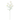 Set of 6 Whtie Artificial Cosmos Flower Stem Spray 24in - 24" L x 6" W x 6" DP