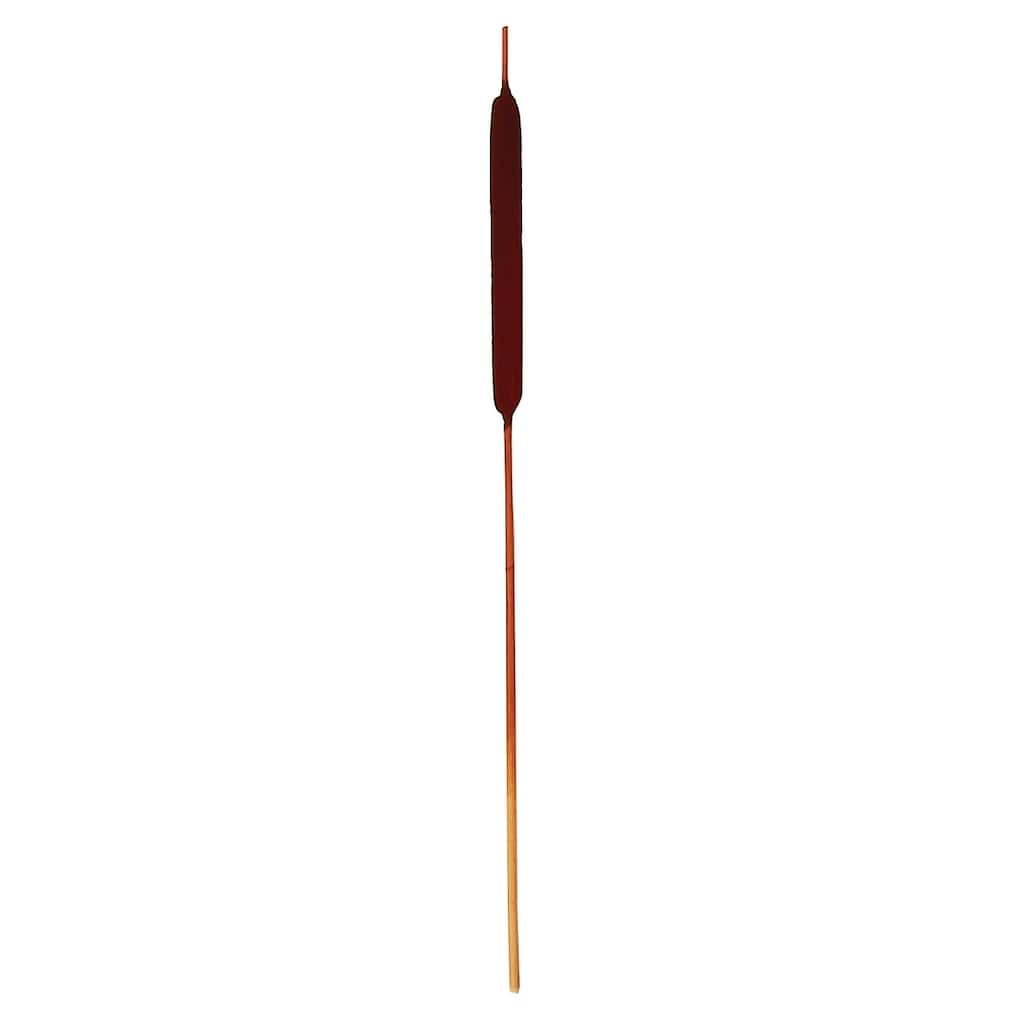 30" Large Cattail x 10, Dark Brown, Set of 4 - 30