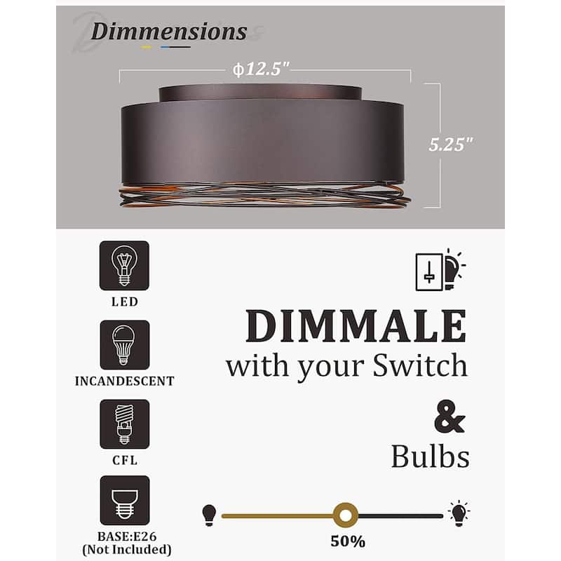 2-Light-Flush Mount Ceiling Light