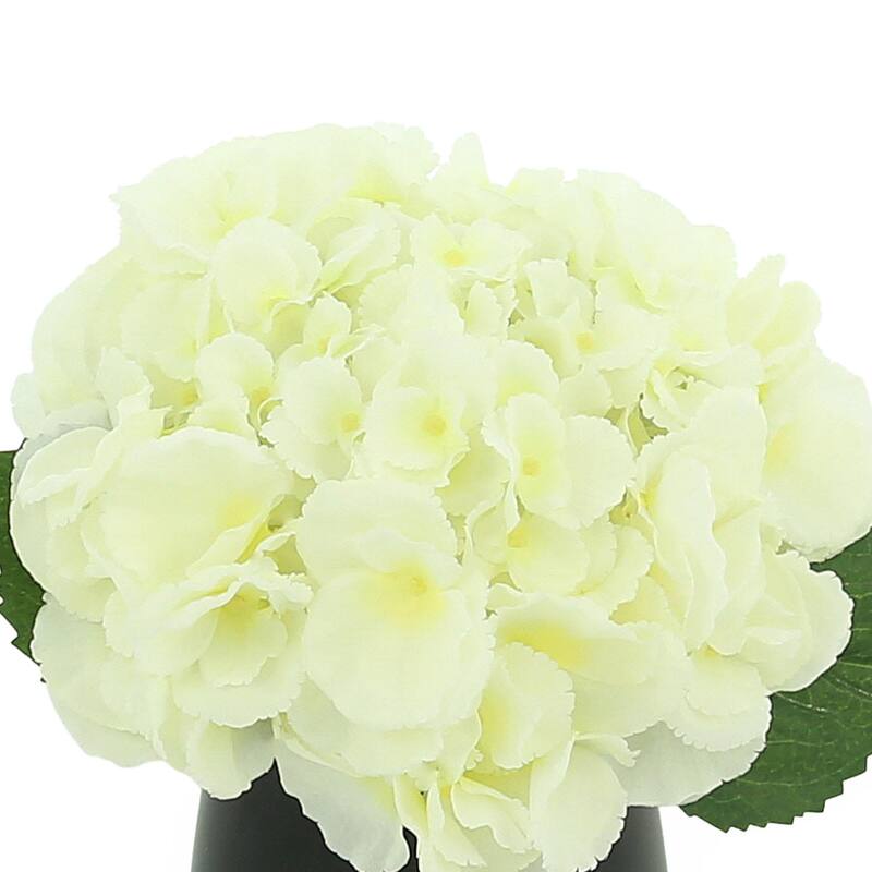 Hydrangea Arrangement in a Glass Vase
