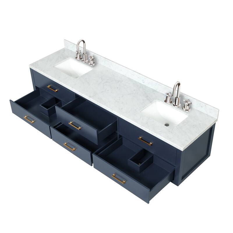 Lexora Castor Double Bath Vanity, Carrara Marble Top, Faucet Set, and Mirrors