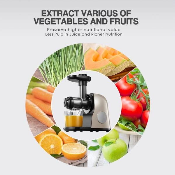 Slow Masticating Juicer with Quiet Motor & Reverse Function Bed Bath