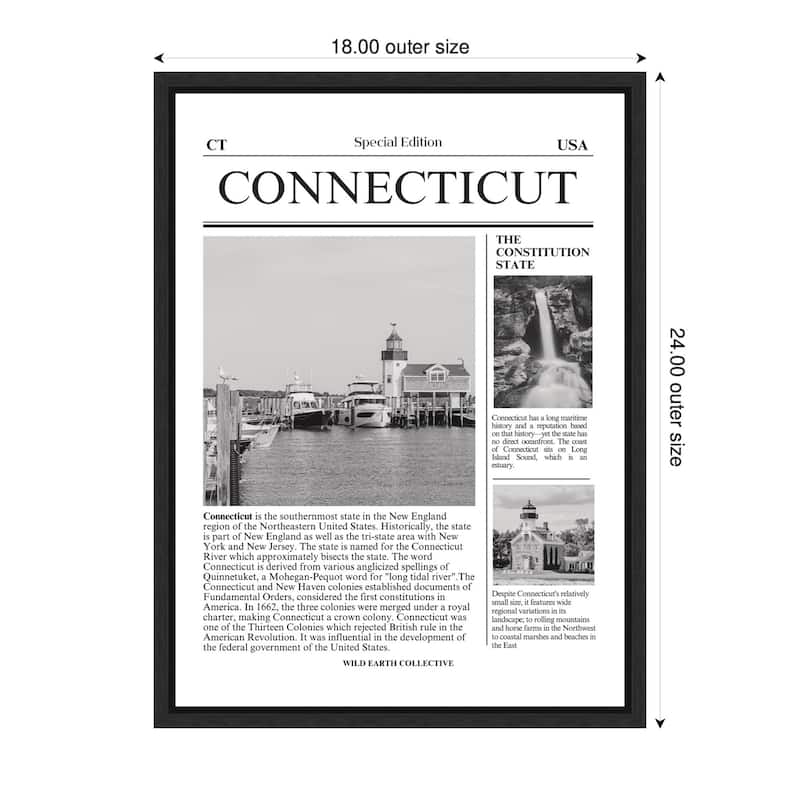 Kate and Laurel Connecticut Article by Megan Ryan Framed Canvas Wall Art Print