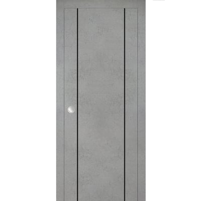 French Pocket Door 28 x 80 with Planum 0016 Concrete with Kit Trims Rail