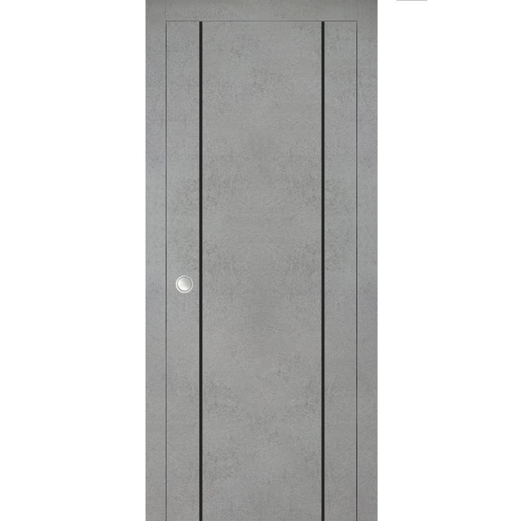 French Pocket Door 28 x 80 with Planum 0016 Concrete with Kit Trims Rail